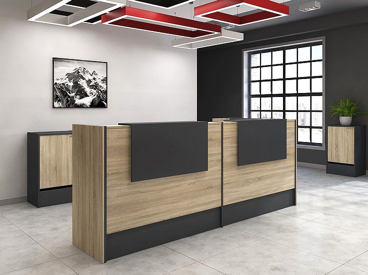 Прямой ресепшн Инновация - вид 23