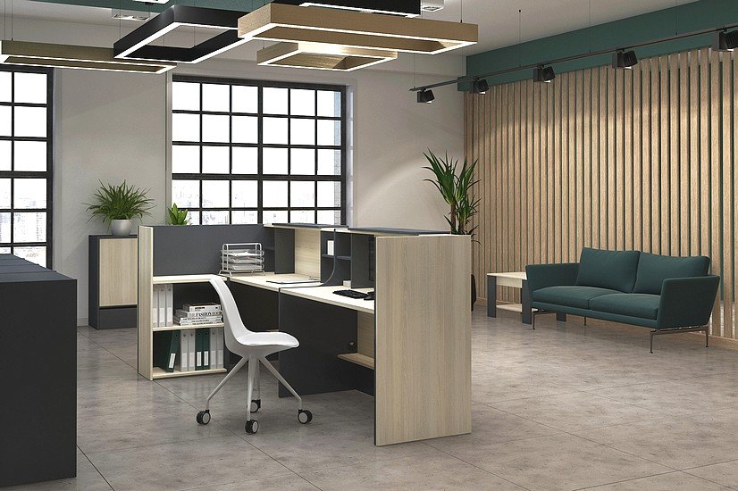 Прямой ресепшн Инновация - вид 26